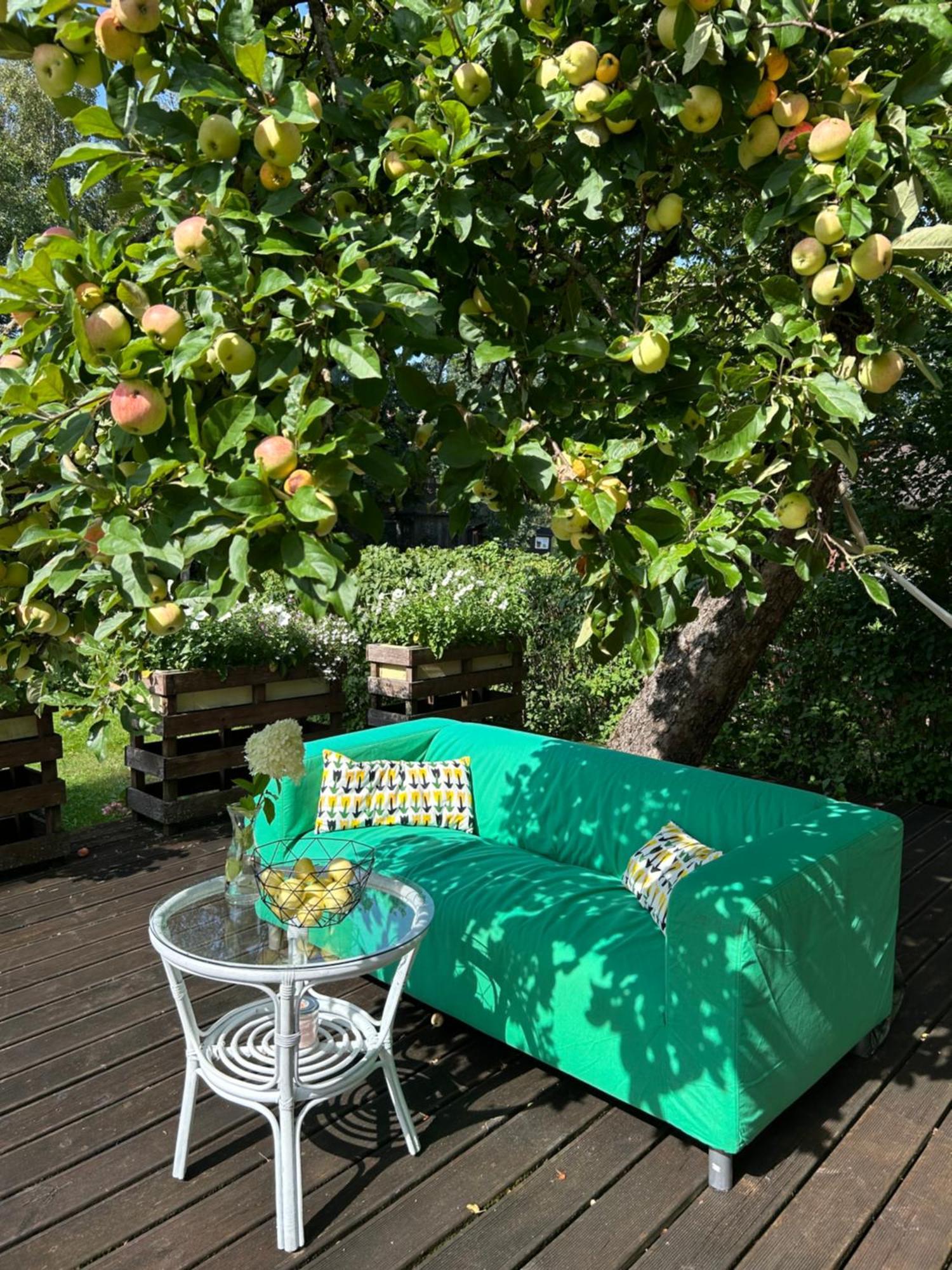 Puuna Oeoemaja B&B Vihterpalu エクステリア 写真